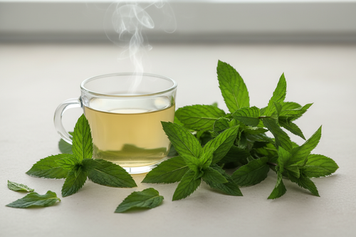 Spearmint for Digestion and Memory: More Than Just a Flavor