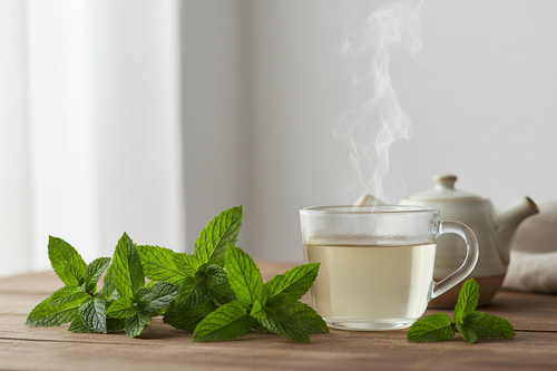 The Mint Mind: How Spearmint Extract Supports Focus and Memory