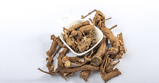 Boerhavia (Punarnava)