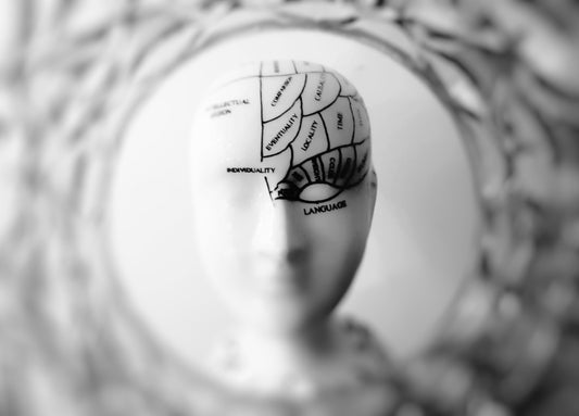 Brain Function: Balance vs. Imbalance