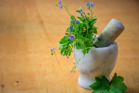 9 Ayurvedic Super Herbs To Boost Your Immune System