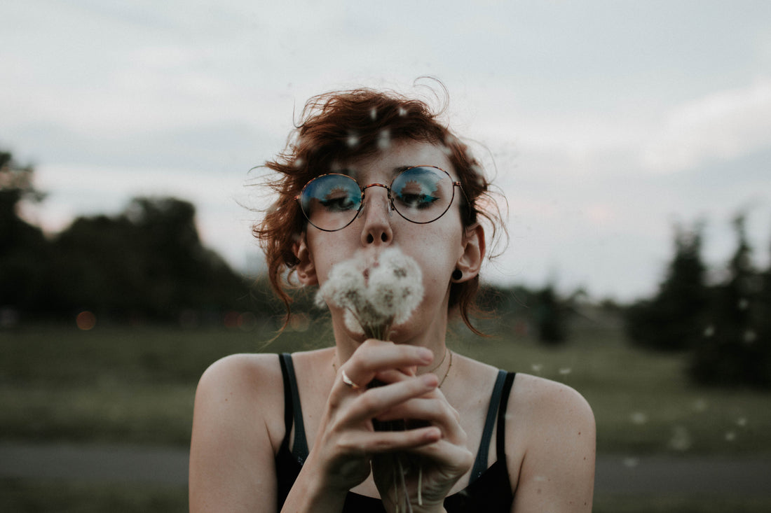 Dandelion