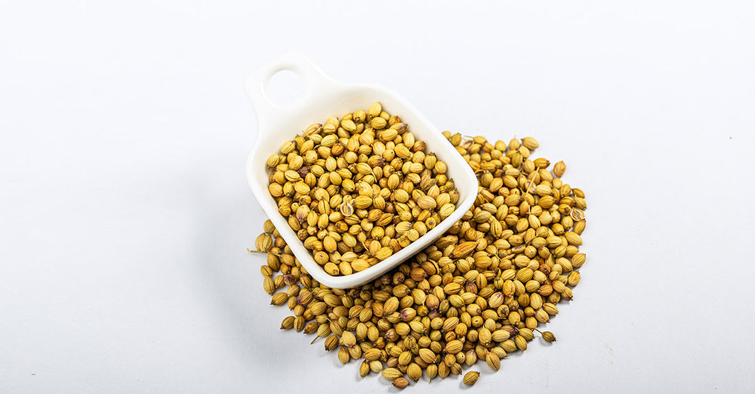 Coriander Seeds