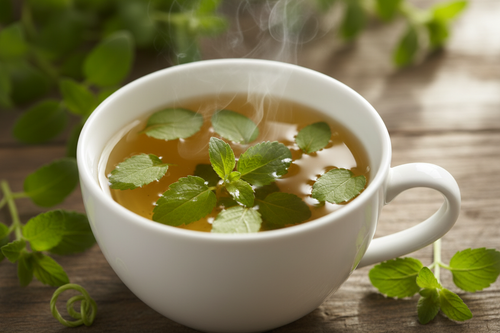 Lemon Verbena: The Science of Supporting Sleep Quality and Stress Response